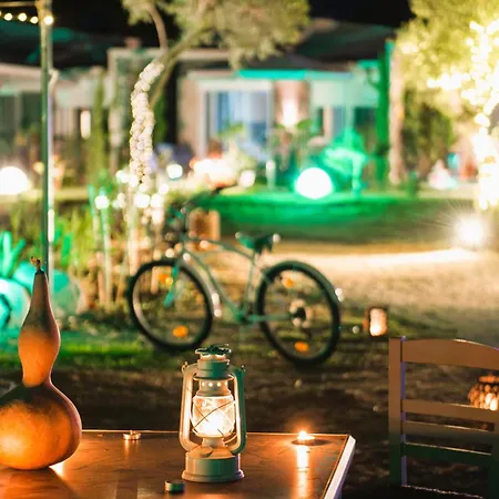 Amadeus Golden * Toroni