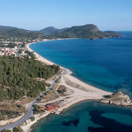 Amadeus Golden Toroni