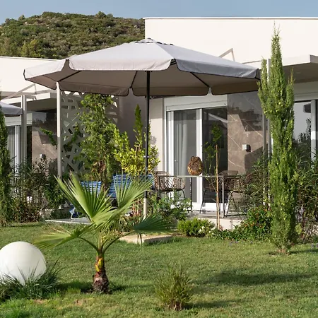 Amadeus Golden * Toroni