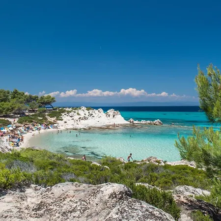 Amadeus Golden Villa *