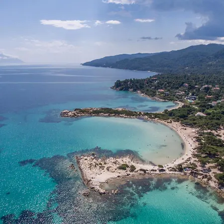 Amadeus Golden Toroni