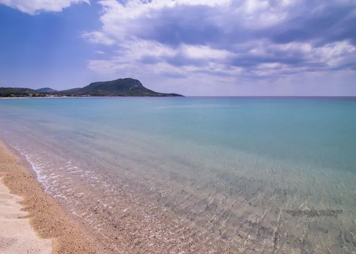 Amadeus Golden Τορώνη