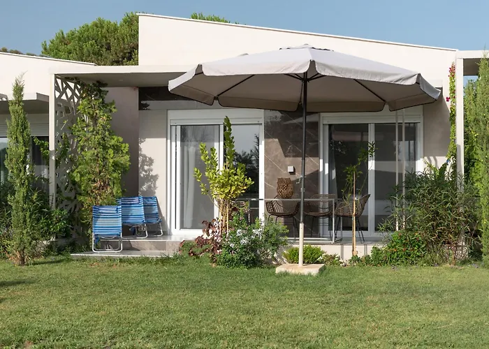 Amadeus Golden Toroni