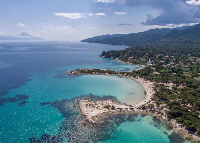 Amadeus Golden Toroni