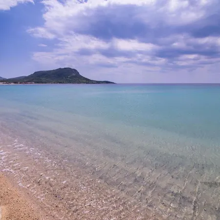 Amadeus Golden Τορώνη
