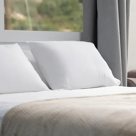 Amadeus Golden * טורוני