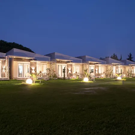 Amadeus Golden טורוני