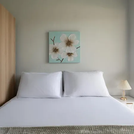 Amadeus Golden * טורוני