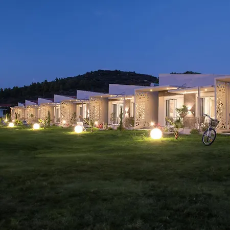 Amadeus Golden * טורוני