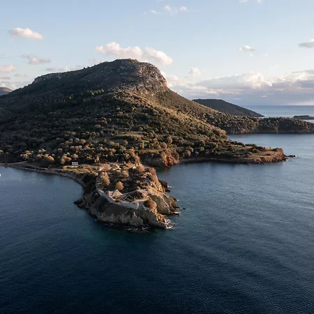 Amadeus Golden Τορώνη
