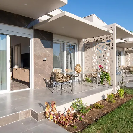 Amadeus Golden * טורוני