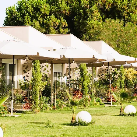 Amadeus Golden * טורוני