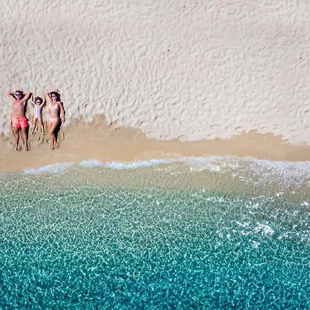 Amadeus Golden * טורוני