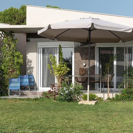 Amadeus Golden טורוני