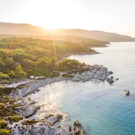 Amadeus Golden טורוני