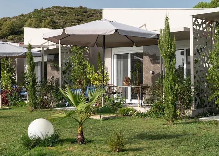 Amadeus Golden * Toroni