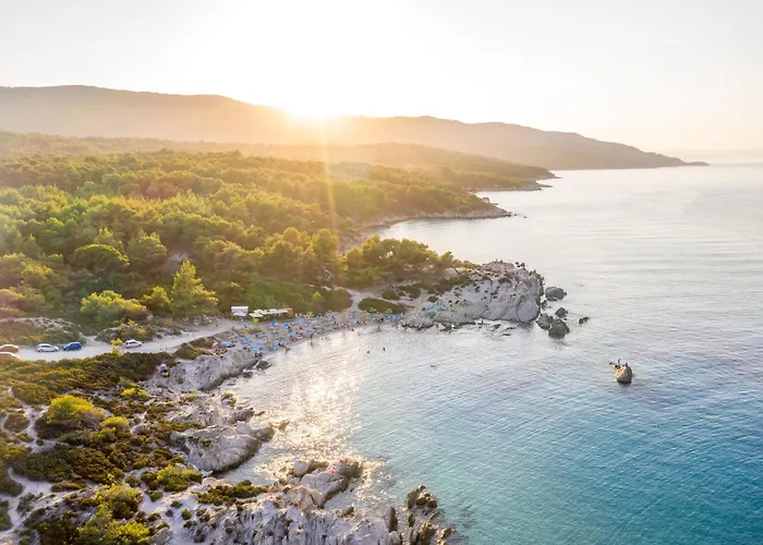 Amadeus Golden Toroni